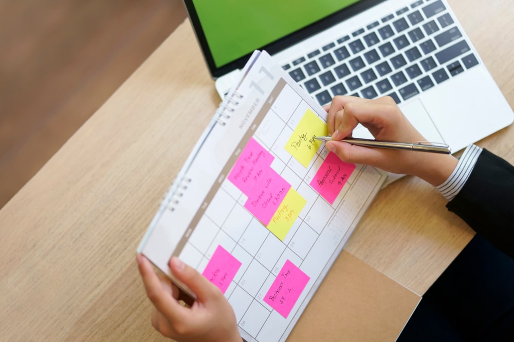 What does the official receiver check Business Insolvency Helpline