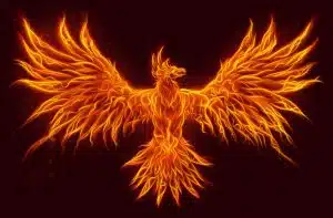What is a Phoenix Company