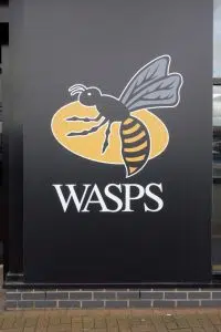 Wasps Rugby Football Club